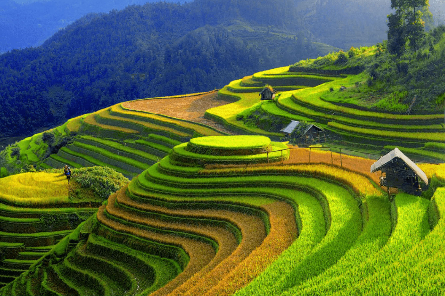 Khách san ở yên bái