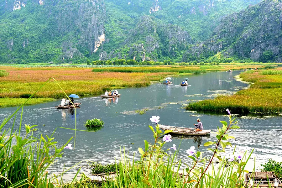 dam-van-long-ninh-binh-vivubamien (3)