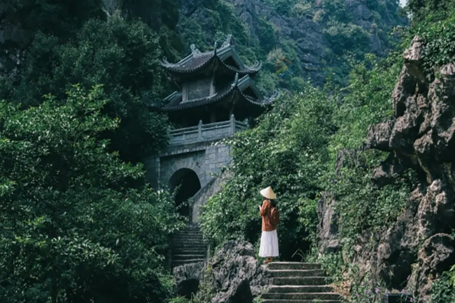 dam van long vivubamien