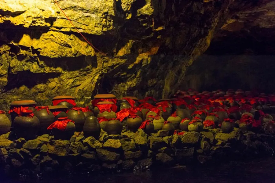 du lich trang an vivubamien 2