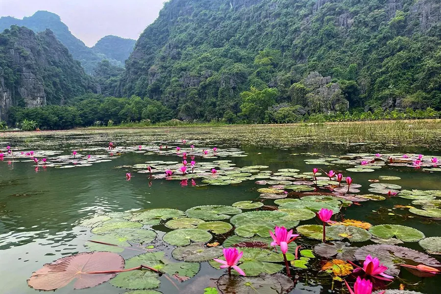 Nét đẹp chuyển mùa kỳ diệu