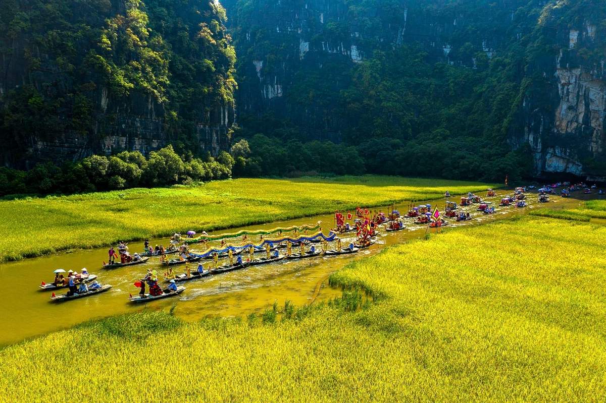 ninh binh mua lua chin vivubamien 1