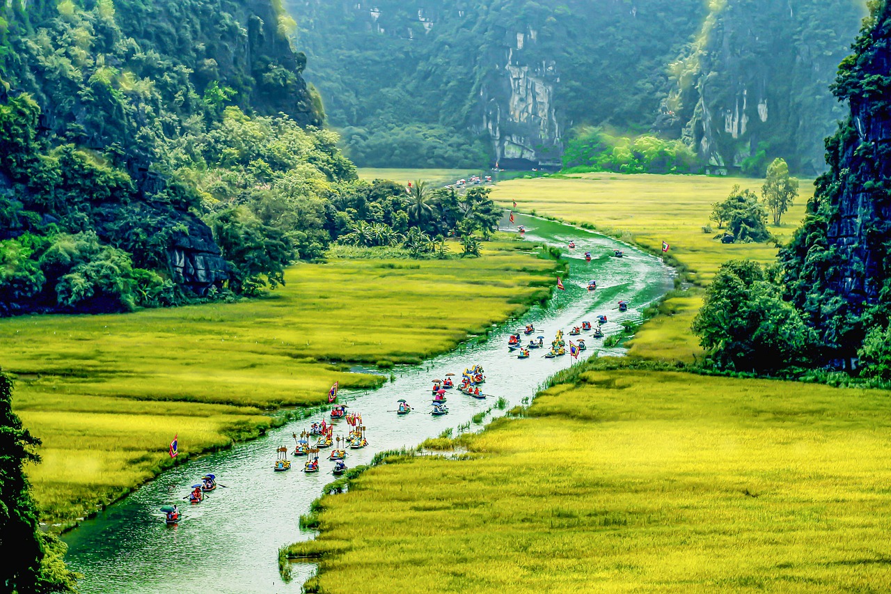 Mùa vàng đẹp nhất khi nhìn từ trên cao