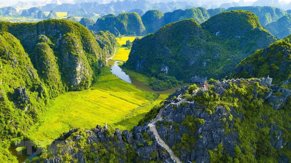ninh binh mua lua chin vivubamien 5